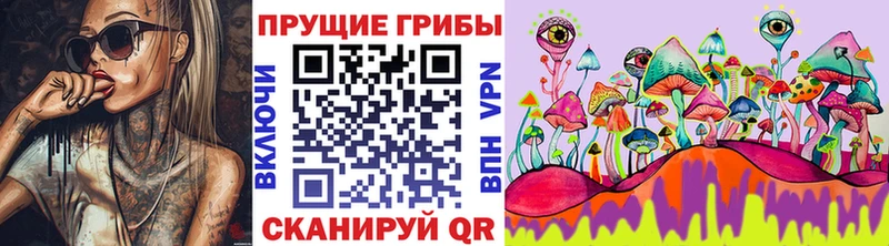 Псилоцибиновые грибы Magic Shrooms  Купить где  Вихоревка 